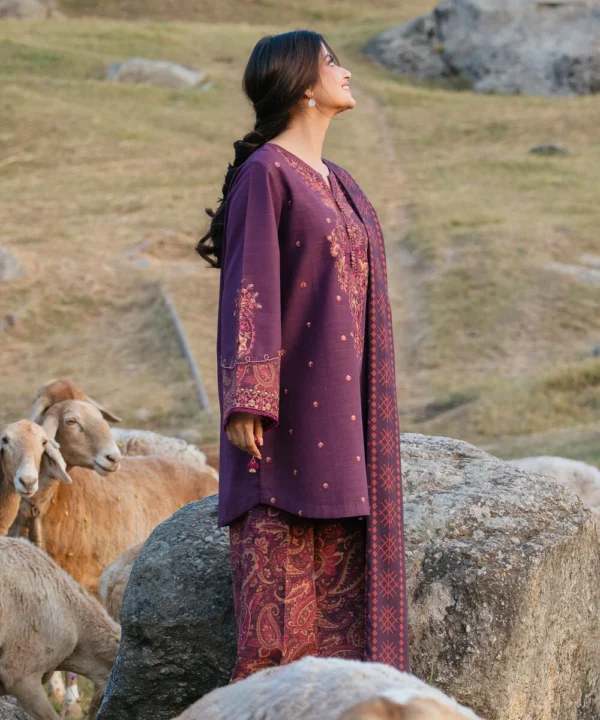 3 Piece - Embroidered Khaddar Suit