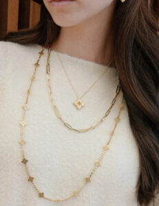Read more about the article Affordable Accessories to Upgrade Your Lawn Suit